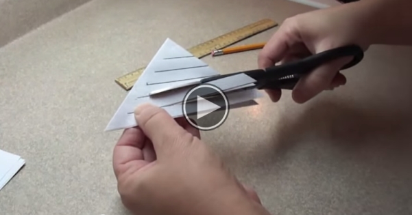 When She Cuts The Paper Across The Lines The Result Is AWESOME!