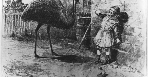 These 9 Vintage Victorian Christmas Cards Are Just Plain Weird