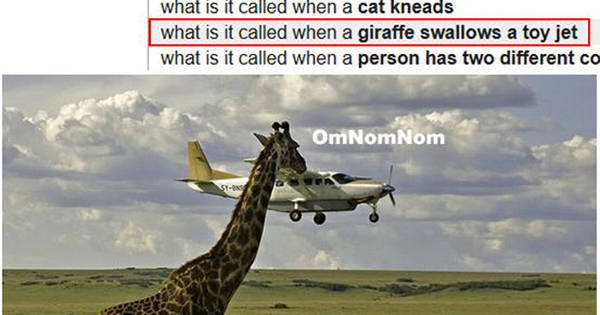 14 Times People Were Too Dumb For The Rest Of The Internet To Handle.